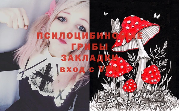 МДМА Арсеньев