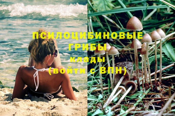 прущая мука Аркадак