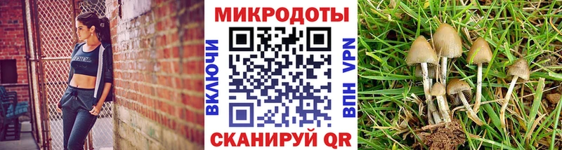 Псилоцибиновые грибы мухоморы  Пустошка 